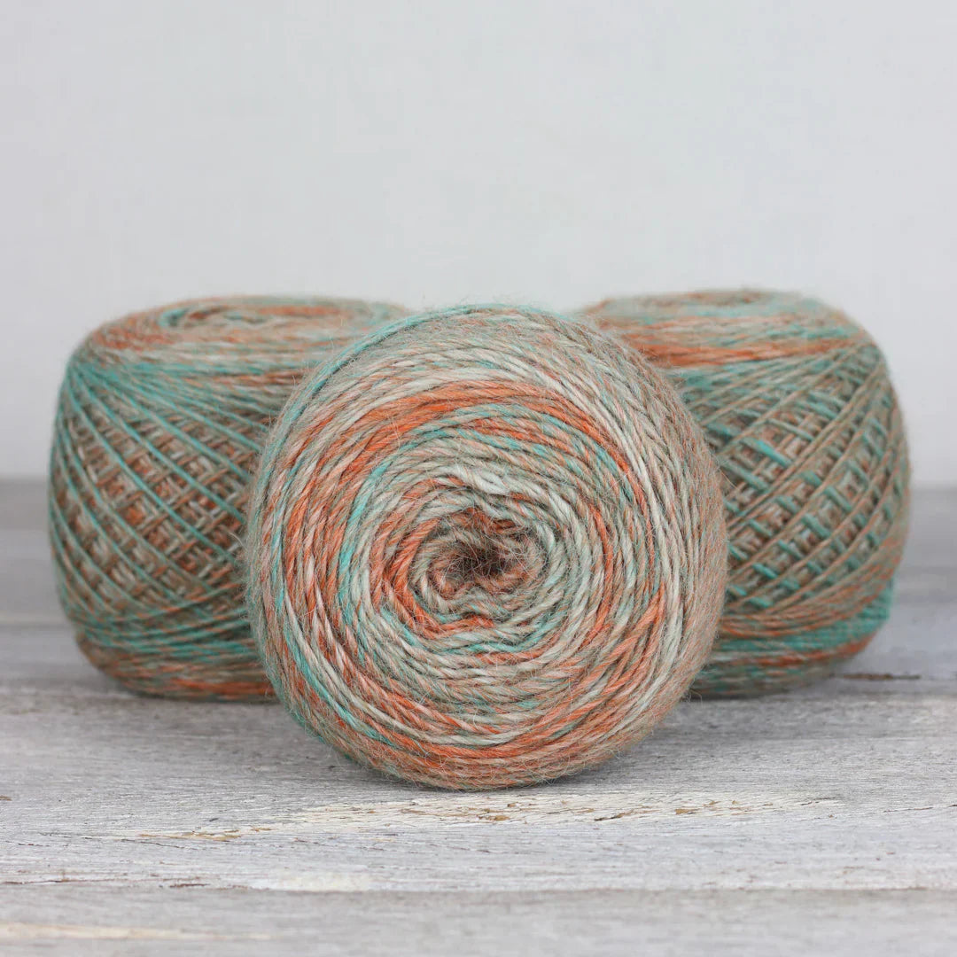 The Fibre Co. Transitions